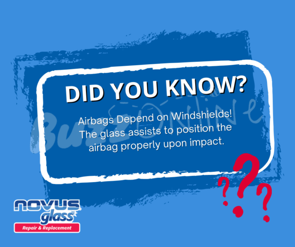 Did You Know - Airbags