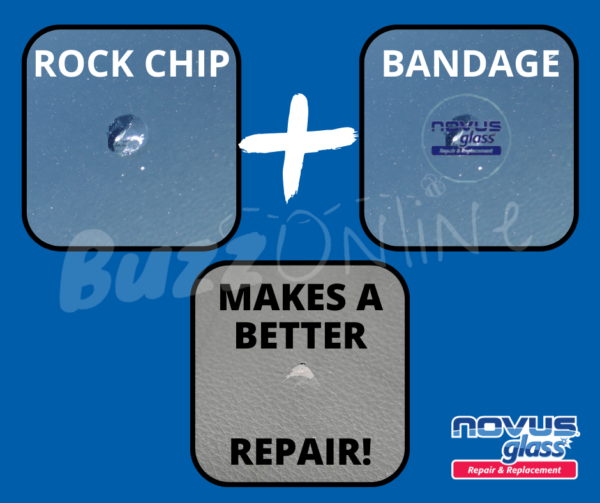 Chip + Bandage