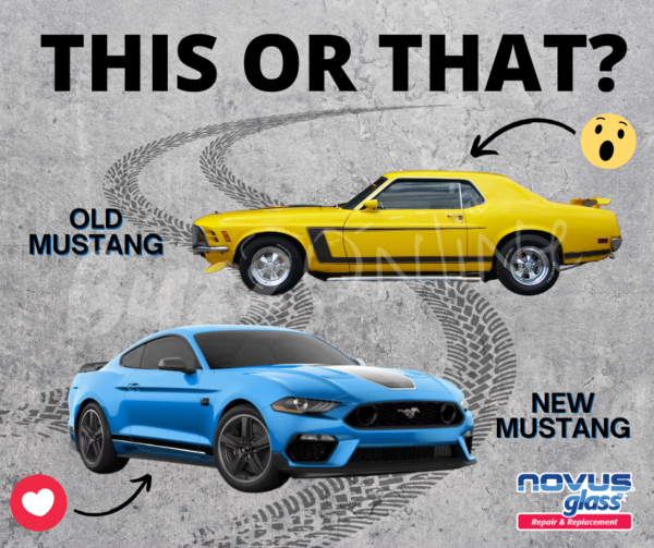 This or That - Mustang