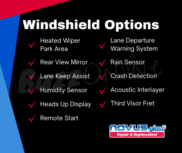 Windshield Options